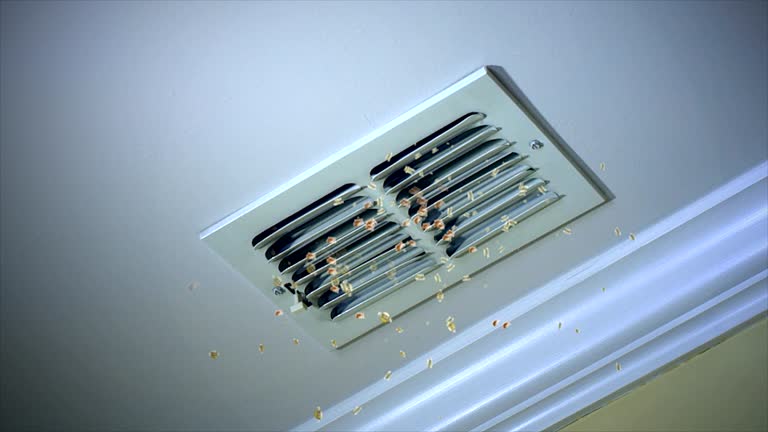 Best Local Air Duct Cleaning Services  in Berlin, NH